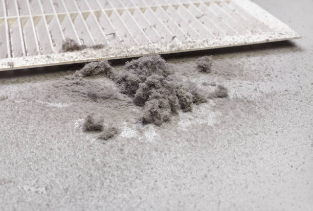 Affordable HVAC Duct Cleaning in Panora, IA